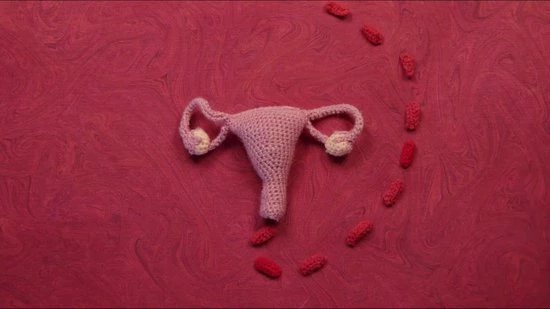 Goedkoop π Eco Femme Full Cycle Kit (wasbaar Maandverband Startset Voor Je Menstruatie) - Donker π 4 Goedkoop π Eco Femme Full Cycle Kit (wasbaar Maandverband Startset Voor Je Menstruatie) - Donker π - Afbeelding 2