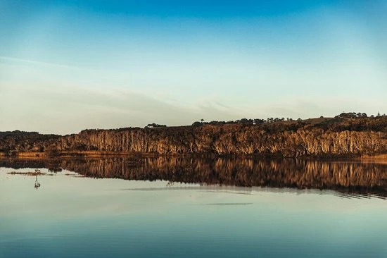 Hete verkoop β Australian Bodycare Body Treatment - 3 Producten Tegen Puistjes, Een Onzuivere Huid En Mee–eters Op De Rug En Billen Gebaseerd Op Tea Tree Olie - Bevat Douchegel En Peeling Om Je Huid Te Reinigen En Bodylotion Om Je Huid Te Hydrateren En Verzorgen π 7 Hete verkoop β Australian Bodycare Body Treatment - 3 Producten Tegen Puistjes, Een Onzuivere Huid En Mee–eters Op De Rug En Billen Gebaseerd Op Tea Tree Olie - Bevat Douchegel En Peeling Om Je Huid Te Reinigen En Bodylotion Om Je Huid Te Hydrateren En Verzorgen π - Afbeelding 5