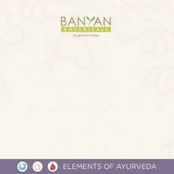 Uitgang 😀 Merkloos Tongreiniger - Koper (1 Stuks) 🥰 -La Roche Shop 550x412 25