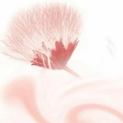 Coupon 🎉 Kneipp Silky Secret - Douchegel ⌛ -La Roche Shop 550x473 3