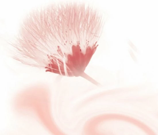 Goedkoopste π Kneipp Silky Secret - Cream & Oil Body Scrub π 4 Goedkoopste π Kneipp Silky Secret - Cream & Oil Body Scrub π - Afbeelding 2