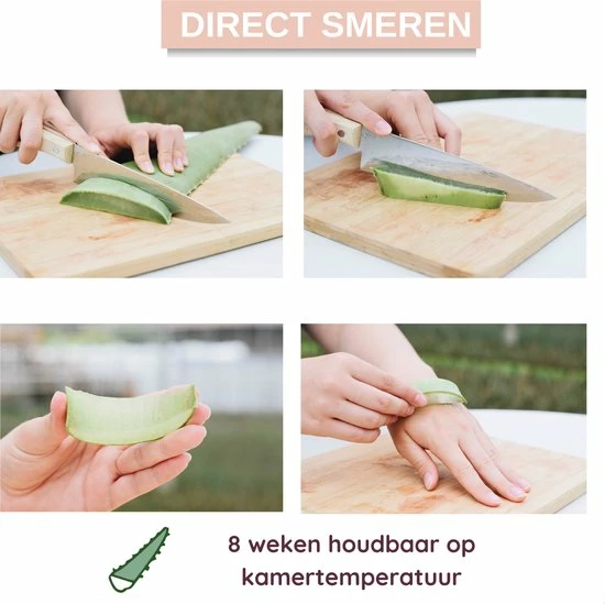 Goedkoopste π Dr. Green® 1x- Aloë Vera Blad - MAAK GEL IN 3 MINUTEN - 100% Puur - Biologisch π 6 Goedkoopste π Dr. Green® 1x- Aloë Vera Blad - MAAK GEL IN 3 MINUTEN - 100% Puur - Biologisch π - Afbeelding 4
