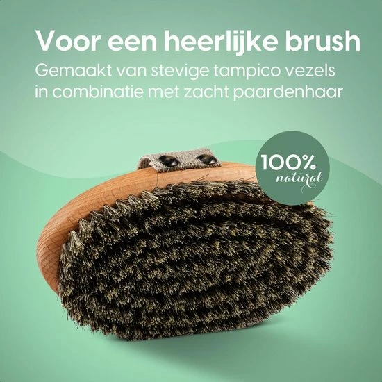 Beste recensies van 🧨 Nature's Groove 100% Natuurlijke Lichaamsborstel - 0% Plastic - Dry Brushing Badborstel/Droogborstel/Doucheborstel/Huidborstel - Beukenhout 😉 5 Beste recensies van 🧨 Nature's Groove 100% Natuurlijke Lichaamsborstel - 0% Plastic - Dry Brushing Badborstel/Droogborstel/Doucheborstel/Huidborstel - Beukenhout 😉 - Afbeelding 3