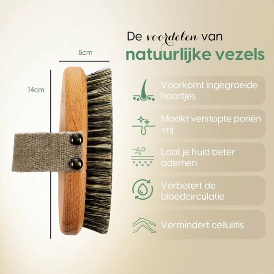 Beste recensies van 🧨 Nature's Groove 100% Natuurlijke Lichaamsborstel - 0% Plastic - Dry Brushing Badborstel/Droogborstel/Doucheborstel/Huidborstel - Beukenhout 😉 6 Beste recensies van 🧨 Nature's Groove 100% Natuurlijke Lichaamsborstel - 0% Plastic - Dry Brushing Badborstel/Droogborstel/Doucheborstel/Huidborstel - Beukenhout 😉 - Afbeelding 4