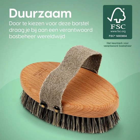 Beste recensies van 🧨 Nature's Groove 100% Natuurlijke Lichaamsborstel - 0% Plastic - Dry Brushing Badborstel/Droogborstel/Doucheborstel/Huidborstel - Beukenhout 😉 9 Beste recensies van 🧨 Nature's Groove 100% Natuurlijke Lichaamsborstel - 0% Plastic - Dry Brushing Badborstel/Droogborstel/Doucheborstel/Huidborstel - Beukenhout 😉 - Afbeelding 7