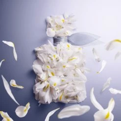 Promo ❤️ Lancôme La Vie Est Belle Bodylotion - 200 Ml 😀 -La Roche Shop 550x550 655