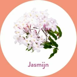 Begroting π Dettol Handzeep - Antibacterieel - Jasmijn - 100% Natuurlijke Oliën - 6 X 250 Ml π― 14 Begroting π Dettol Handzeep - Antibacterieel - Jasmijn - 100% Natuurlijke Oliën - 6 X 250 Ml π― -La Roche Shop 550x550 809