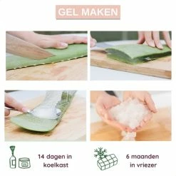 Goedkoopste π Dr. Green® 1x- Aloë Vera Blad - MAAK GEL IN 3 MINUTEN - 100% Puur - Biologisch π 19 Goedkoopste π Dr. Green® 1x- Aloë Vera Blad - MAAK GEL IN 3 MINUTEN - 100% Puur - Biologisch π -La Roche Shop 550x550 897