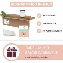 Goedkoopste π Dr. Green® 1x- Aloë Vera Blad - MAAK GEL IN 3 MINUTEN - 100% Puur - Biologisch π 24 Goedkoopste π Dr. Green® 1x- Aloë Vera Blad - MAAK GEL IN 3 MINUTEN - 100% Puur - Biologisch π -La Roche Shop 550x550 902