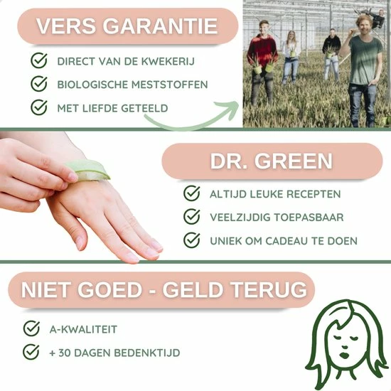 Goedkoopste π Dr. Green® 1x- Aloë Vera Blad - MAAK GEL IN 3 MINUTEN - 100% Puur - Biologisch π 13 Goedkoopste π Dr. Green® 1x- Aloë Vera Blad - MAAK GEL IN 3 MINUTEN - 100% Puur - Biologisch π - Afbeelding 11