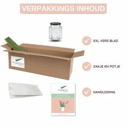 Goedkoopste π Dr. Green® 1x- Aloë Vera Blad - MAAK GEL IN 3 MINUTEN - 100% Puur - Biologisch π 26 Goedkoopste π Dr. Green® 1x- Aloë Vera Blad - MAAK GEL IN 3 MINUTEN - 100% Puur - Biologisch π -La Roche Shop 550x550 904