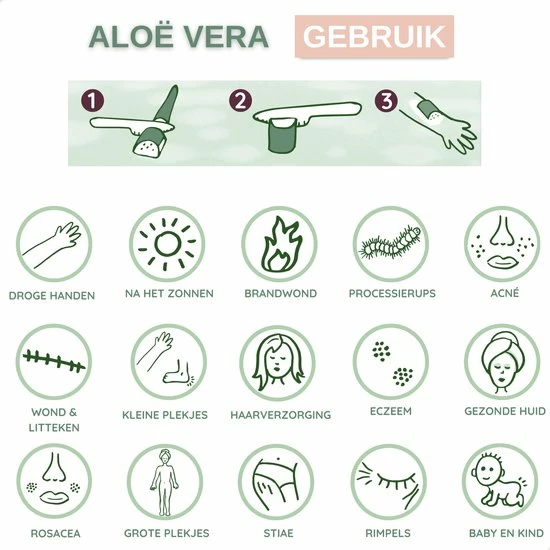 Goedkoopste π Dr. Green® 1x- Aloë Vera Blad - MAAK GEL IN 3 MINUTEN - 100% Puur - Biologisch π 15 Goedkoopste π Dr. Green® 1x- Aloë Vera Blad - MAAK GEL IN 3 MINUTEN - 100% Puur - Biologisch π - Afbeelding 13