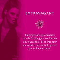 Hete verkoop π 6x Vogue Extravagant Parfum Deodorant 150 Ml π― 9 Hete verkoop π 6x Vogue Extravagant Parfum Deodorant 150 Ml π― -La Roche Shop 550x550 956