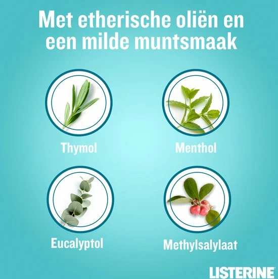 Nieuw 😉 Pack Of 3 - Listerine Cool Mint Milde Smaak Mondspoeling 500 Ml 🧨 8 Nieuw 😉 Pack Of 3 - Listerine Cool Mint Milde Smaak Mondspoeling 500 Ml 🧨 - Afbeelding 6